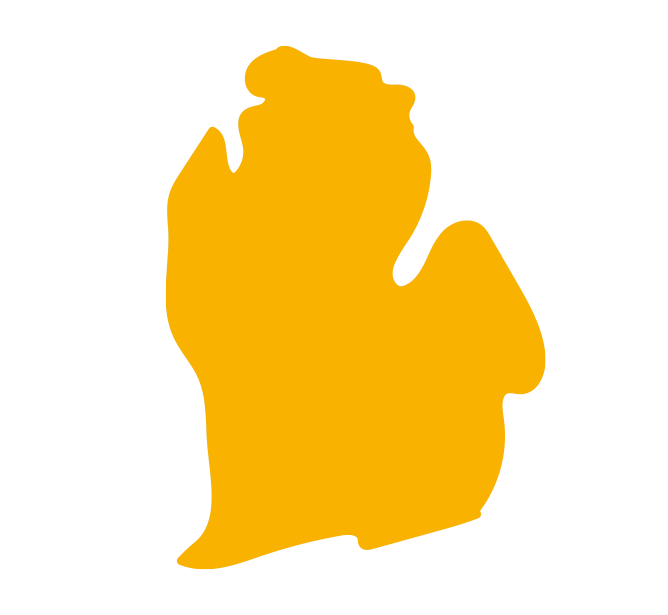 MI MI